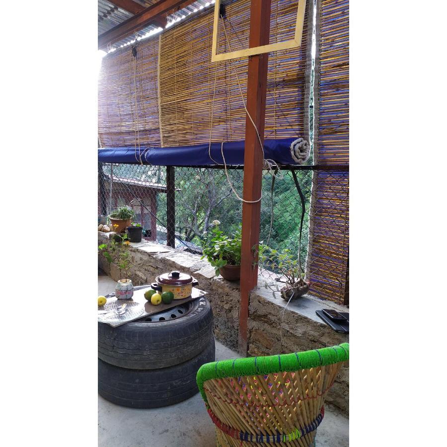 Shimla Gypsy - Home Stay Buitenkant foto